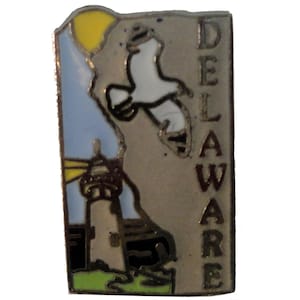 DELAWARE STATE vintage enamel pin lapel badge  landscape Mafco pinback