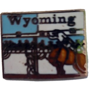 WYOMING STATE vintage enamel pin lapel badge  landscape Mafco pinback