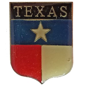 TEXAS STATE vintage enamel pin lapel badge  landscape flag pinback