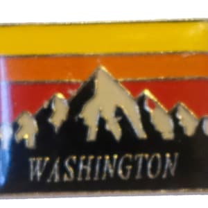 WASHINGTON State vintage enamel pin lapel badge brooch gift WA mountains