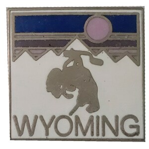 WYOMING STATE vintage enamel pin lapel badge  landscape pinback