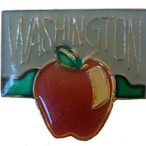 WASHINGTON State vintage enamel pin lapel badge brooch gift WA mountains