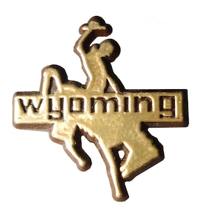 WYOMING STATE plastic vintage enamel pin lapel badge brooch gift cowboy