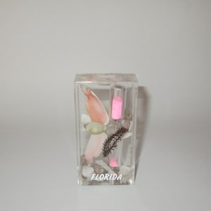 May include: A clear glass paperweight with pink sand in an hourglass, seashells, and seaweed. The paperweight has the word "FLORIDA" printed on the bottom.