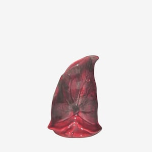 Vintage Cranberry Leaf Design Pottery