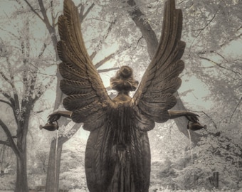 Angel, Infrared photography, St. Louis Missouri Botanical Garden, Feng Shui, Garden home decor