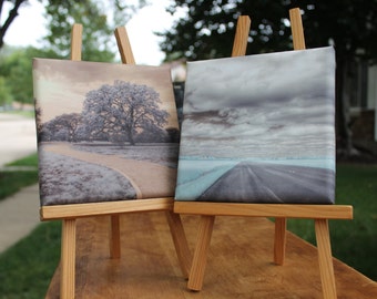 Two Infrared Landscape photographs on canvas.   Open Road and The Path.  Signed by artist.   Fine art photography.  Home Decor.  Feng Shui.