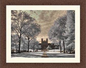 Washington University St. Louis infrared photo