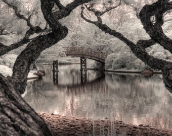 Missouri Botanical Garden Japanese Garden St Louis infrared