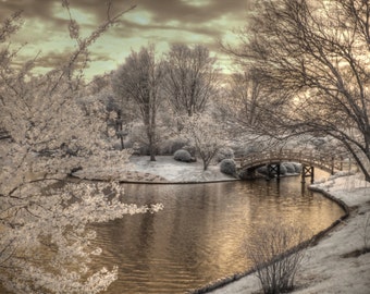 Cherry blossoms japanese garden missouri botanical garden sepia infrared home decor photography