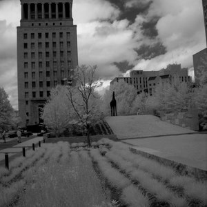 City Garden photo, St. Louis photography, black and white photography, The Arch, fine art photography, Missouri photography, garden image 3