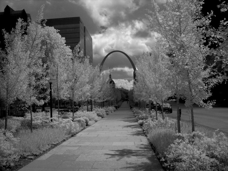 City Garden photo, St. Louis photography, black and white photography, The Arch, fine art photography, Missouri photography, garden image 2