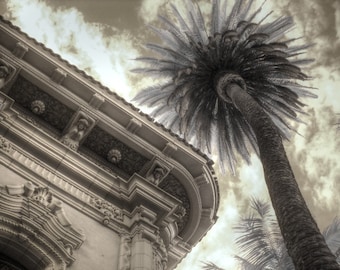 palm tree infrared photography nature balboa park san diego feng shui home decor sepia photography