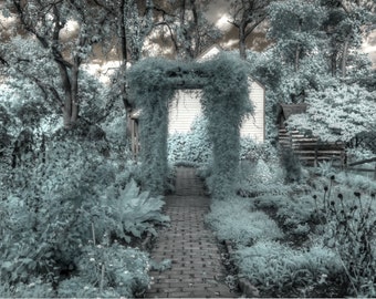 Home decor infrared photography The Secret Garden, nature photography, zen photography, home decor photography, feng shui photography