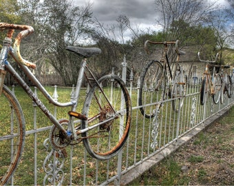 Bike photography, fine art photography, bicycle photography, bike photo, bicycle photo, home decor, rusty bike photo, Fence photo, Salado