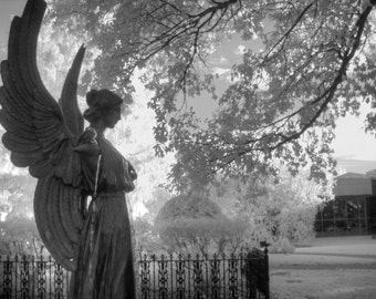 Angel photography, infrared photography,Missouri Botanical Garden,  black and white photography, fine art photography, angel home decor,