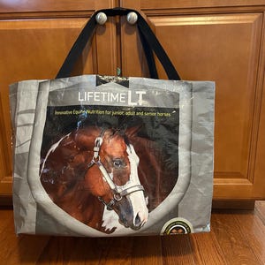 Upcycled Lifetime LT feed bag reusable bag with black handles