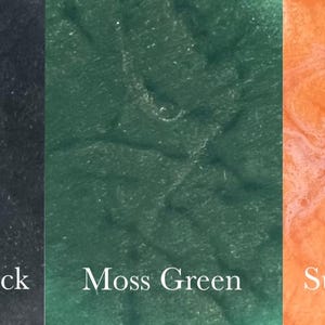May include: Five paint samples in different colours: royal blue, midnight black, moss green, sunset orange, and peachy pink.