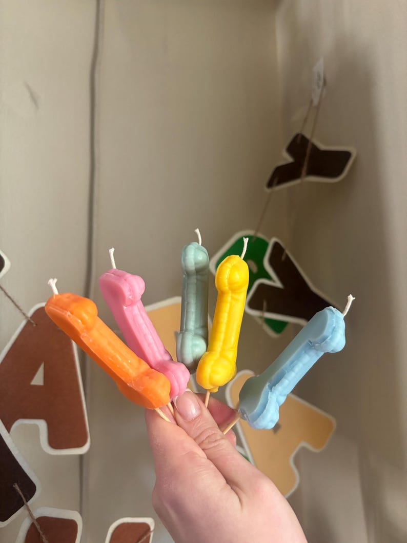 May include: A set of five small, phallic-shaped wax candles in orange, pink, sage green, yellow, and light blue. Each candle features a single white wick at the top and is mounted on a thin wooden stick, designed for placement in a cake or dessert.