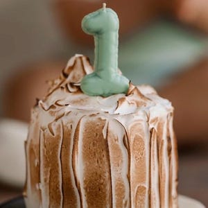 May include: A small cylindrical cake covered in white meringue with toasted brown streaks. A light green candle shaped like the number one is inserted into the top center of the meringue. The cake sits on a black and white circular plate.
