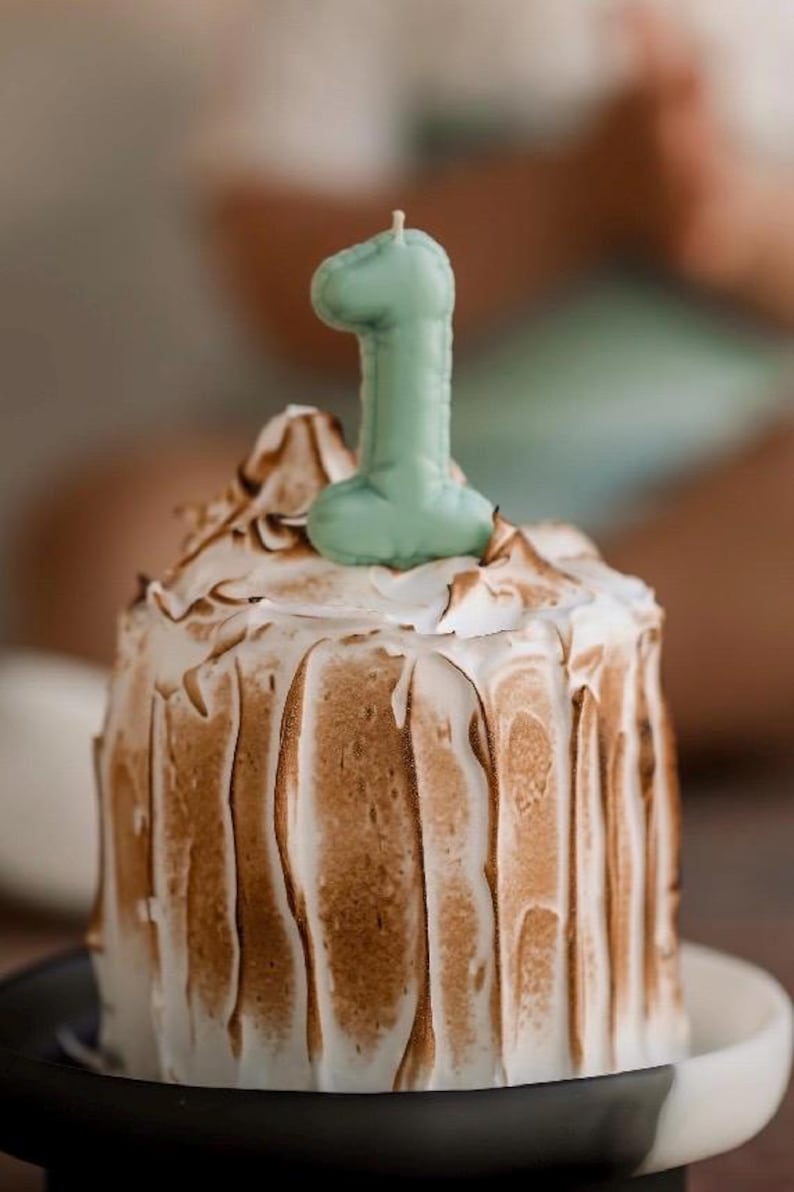May include: A small cylindrical cake covered in white meringue with toasted brown streaks. A light green candle shaped like the number one is inserted into the top center of the meringue. The cake sits on a black and white circular plate.