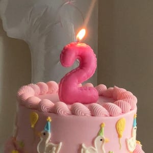 May include: A round pink cake decorated with white piped frosting borders and white duck figures wearing colorful party hats. Yellow balloons are piped onto the sides. A bright pink number two candle is lit and placed on top of the cake.