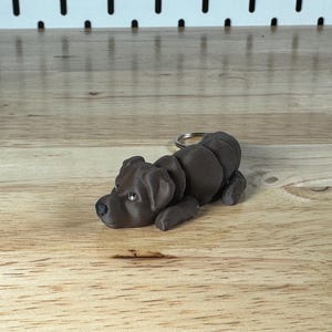 May include: A dark brown Labrador Retriever keyring. The dog is sculpted in a lying down position. The keyring is made of a dark brown material and has a silver-coloured ring attached. The dog has a detailed face with small, light-coloured eyes.