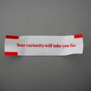 Custom Fortune Cookie Plaque, Personalized Quote Wall Art Decor
