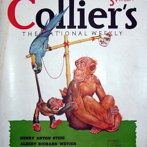 1929 Collier's Front Page Only Lawson Wood Chimpanzee, Monkey, Parrot, Print Ad, Magazine Page, Dixie Bell Gin ad, Artist Drawn, Lawson Wood