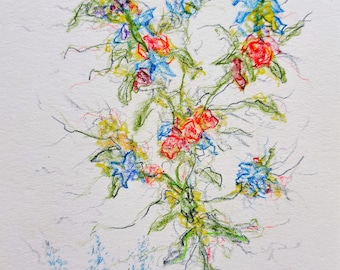 Wild Flowers By the Side of the Road Colored Pencil Drawing