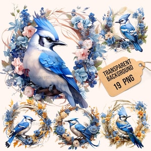 Watercolor Blue Jay Bird Clipart PNG Transparent Wreath Clipart, Commercial Use Bird Watcher Gift Clipart Bundle Digital Prints Wall Art