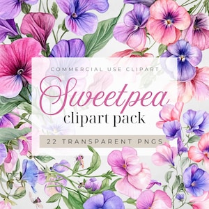 Aquarelle rose tendre et violet pois de senteur clipart aquarelle, fleur de naissance d'avril, bouquets de pois de senteur, clipart floral graphique botanique PNG