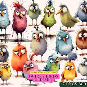 Quirky Birds Clipart, Whimsical Bird, Bird Watercolor, Cute Bird Clipart, Funny birds, Scrapbooking Clipart watercolor, Funny Animals Png