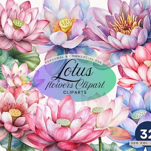 Clipart de flor de lótus em aquarela - Flores de lótus rosa e nenúfares, ilustração floral botânica para convites de casamento, designs florais PNG