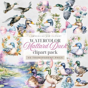 Mallard Duck Clipart, Mallard Ducks PNG, Watercolor Ducks Clipart, Watercolor Mallard Graphics, Water Color Ducks Baby Shower Nursery Prints