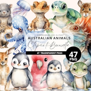 Australische Tiere Clipart, Dschungel Clipart, digitaler Download, Sublimationsdesigns, Babyparty, Scrapbooking, Kinderzimmer Dekor, Junk Journal PNG