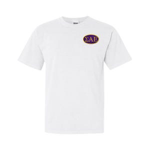 Embroidered Greek Letter T-Shirt - Comfort Colors Fraternity Sorority Tee