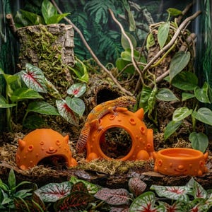 May include: A spotted orange leopard gecko rests on top of a small, round, orange textured reptile hide with horn-like protrusions. Two additional matching orange accessories, a dome-shaped hide and a shallow bowl, sit nearby on a mossy surface.