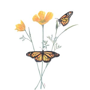 Monarch and California Poppy Watercolor Print