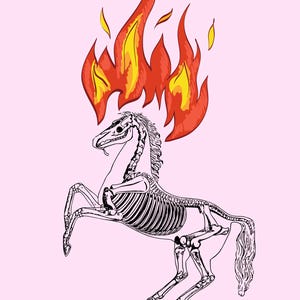 May include: A black and white skeletal horse with a red and yellow flame design above its head. The horse is standing on its hind legs with its front legs raised.