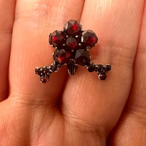 Könnte beinhalten: Eine Brosche mit einer Ansammlung tiefroter, facettierter Granat-Edelsteine, die in einem blumenartigen Muster angeordnet sind. Die Steine sind in einen Metallrahmen gefasst, wobei sich kleinere Granat-Akzente von der zentralen Form aus erstrecken.