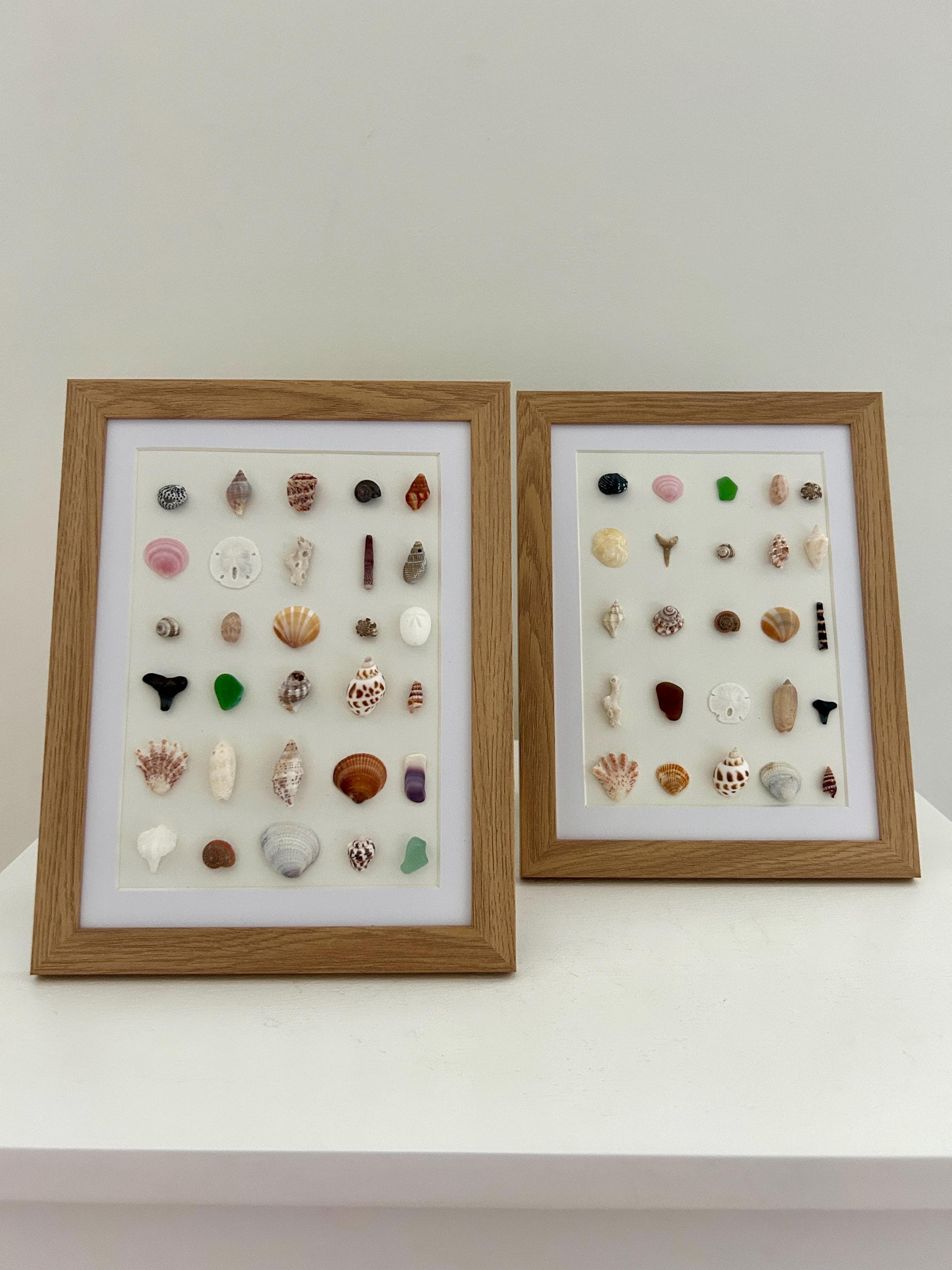 7x9 Framed Coastal Shell Art | Beachcomber's Collection | Ocean