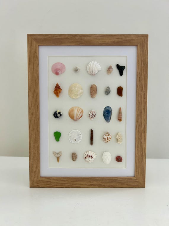 7x9 Framed Coastal Shell Art | Beachcomber's Collection | Ocean