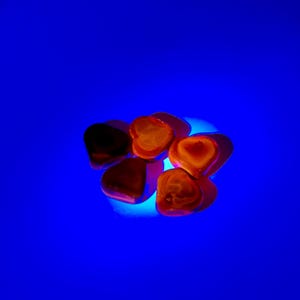 May include: A cluster of heart-shaped, amber-coloured stones set against a vivid blue backdrop. The stones have a glossy finish and varying shades of orange and brown, creating a warm contrast against the cool blue background. The lighting highlights the shapes and textures.