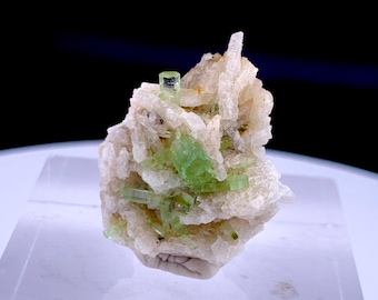 Natural Terminated Light Green Tourmaline Crystal on Albite / Cleavelandite Matrix
