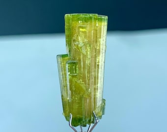 Natürliche grüne Farbe Turmalin-Kristall, Chapoo Mine Turmalin Mineralprobe, 15,05 cts