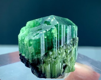Natürliche bläulich grüne Turmalin Kristallprobe, 20 GRAMM