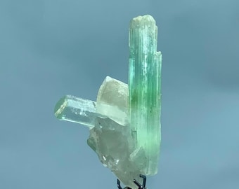 Paraiba Turmalin Kristall: Rohe Blaue Edelstein Gruppe - 11 Karat