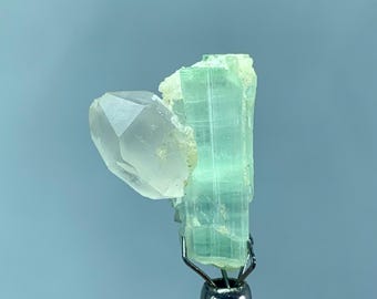 Paraiba Turmalin Kristall: Rohe Blaue Edelstein Gruppe - 15 Karat