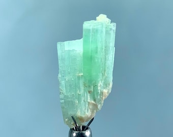 Paraiba Turmalin Kristall: Rohe Blaue Edelstein Gruppe - 15 Karat